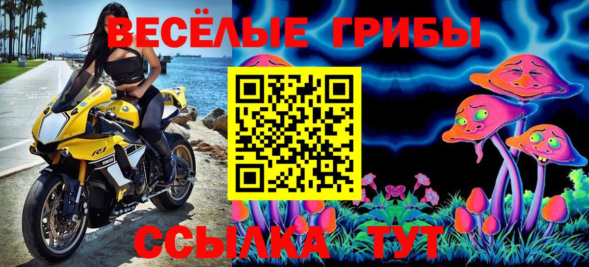 Киров  Псилоцибиновые грибы Psilocybe  Вход с VPN 